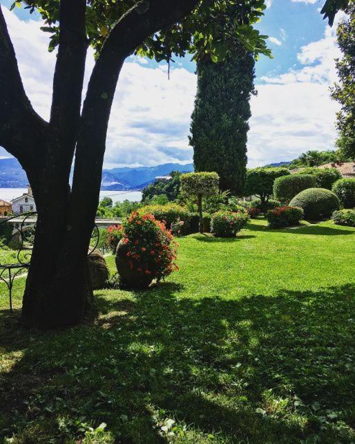 Il Motto Di Tommy Bed and Breakfast Castelveccana Buitenkant foto