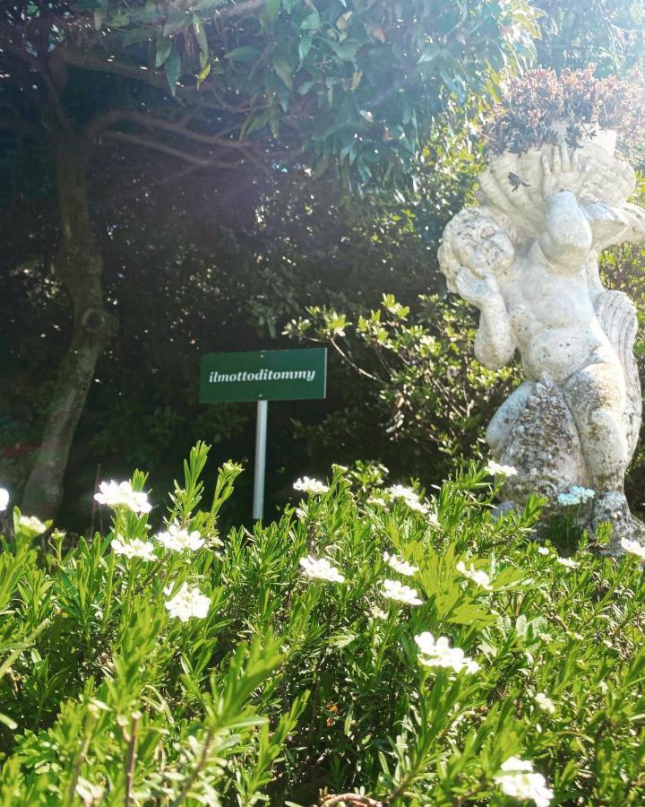 Il Motto Di Tommy Bed and Breakfast Castelveccana Buitenkant foto
